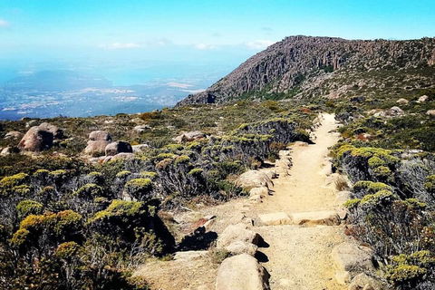 Mount Wellington Ultimate Experience Tour From Hobart - Accommodation BNB 5