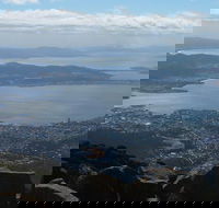 Mt Wellington Tour and MONA Admission - Accommodation BNB