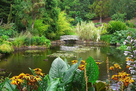 Hobart City Sightseeing Tour Including MONA Admission - Accommodation BNB 3