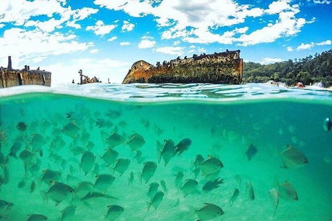 Adventure Moreton Island Day Pass - Accommodation BNB 4