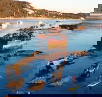 Adventure Moreton Island Wrecks Adventure Package - Accommodation BNB