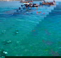 Adventure Moreton Island Scuba Dive Tour - Accommodation BNB