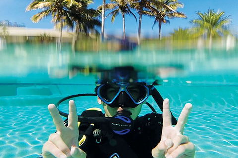 Adventure Moreton Island Scuba Dive Tour - Accommodation BNB 2