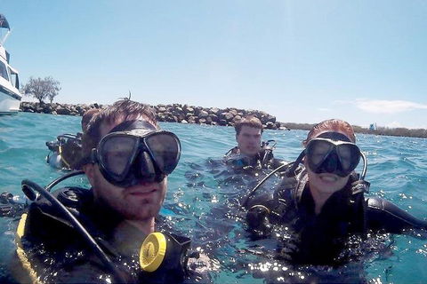 Wave Break Island Scuba Diving On The Gold Coast - Accommodation BNB 0