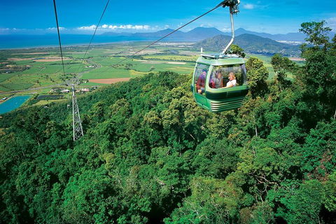 Cairns ATV Adventure Tour And Morning Skyrail - Accommodation BNB 2