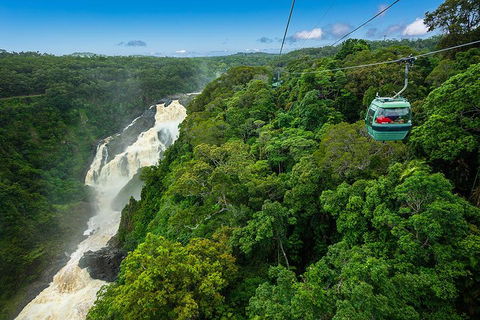 Cairns ATV Adventure Tour And Morning Skyrail - Accommodation BNB 3