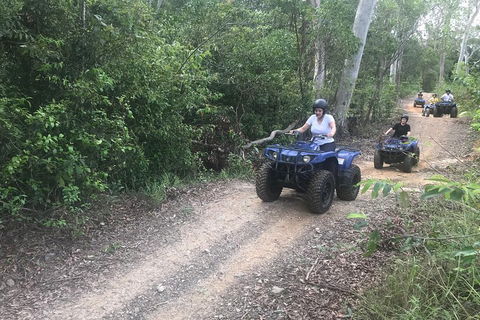 Cairns ATV Adventure Tour And Morning Train - Accommodation BNB 0