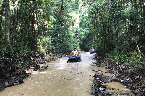 Cairns ATV Adventure Tour And Morning Train - Accommodation BNB 1