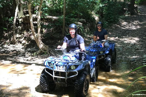 Cairns ATV Adventure Tour And Morning Train - Accommodation BNB 2