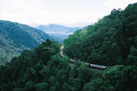 Cairns ATV Adventure Tour And Morning Train - Accommodation BNB 3