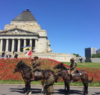 Private Half Day Melbourne City Tour with Local guide