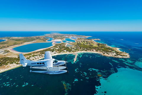 Full Day Tour By Seaplane To Rottnest Island Small Group Trip - Accommodation BNB 1