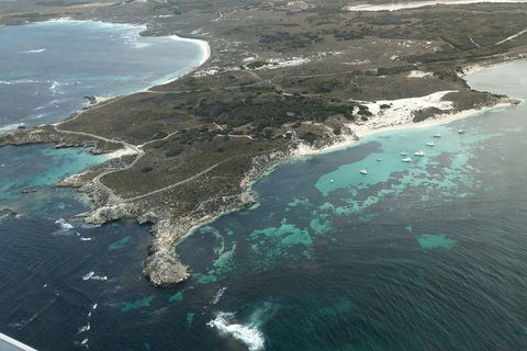 Full Day Tour By Seaplane To Rottnest Island Small Group Trip - Accommodation BNB 5