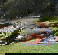 Mt Tamborine - Hinterland Wonders Self Guided - Accommodation BNB