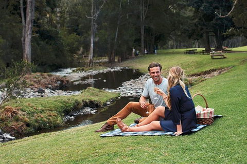 Mt Tamborine - Hinterland Wonders Self Guided - Accommodation BNB 0