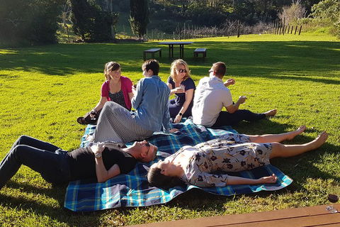Mt Tamborine - Hinterland Wonders Self Guided - Accommodation BNB 2