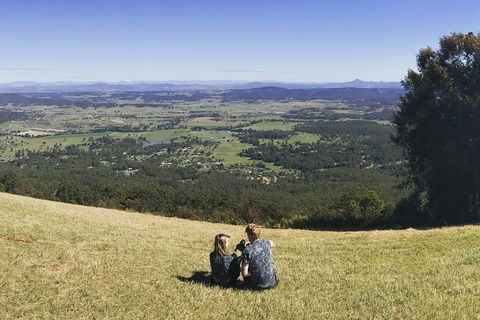 Mt Tamborine - Hinterland Wonders Self Guided - Accommodation BNB 4