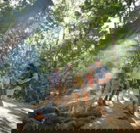 Mossman Gorge Adventure Day - Accommodation BNB