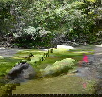 Daintree Dreaming Traditional Aboriginal Fishing from Cairns or Port Douglas - Accommodation BNB