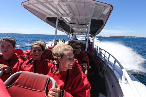 Adventure Rottnest Tour With Ferry & Adventure Cruise From Perth Or Fremantle - Accommodation BNB 0