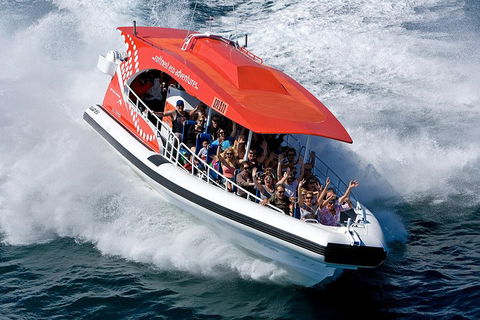 Adventure Rottnest Tour With Ferry & Adventure Cruise From Perth Or Fremantle - Accommodation BNB 2