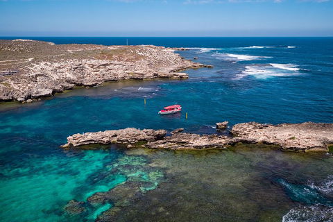 Adventure Rottnest Tour With Ferry & Adventure Cruise From Perth Or Fremantle - Accommodation BNB 3