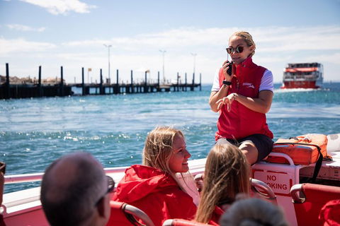 Adventure Rottnest Tour With Ferry & Adventure Cruise From Perth Or Fremantle - Accommodation BNB 4
