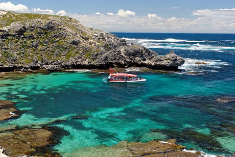 Adventure Rottnest Tour With Ferry & Adventure Cruise From Perth Or Fremantle - Accommodation BNB 5