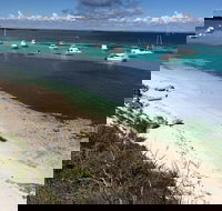 Experience Rottnest with Ferry  Bike Hire from Perth or Fremantle - Accommodation BNB