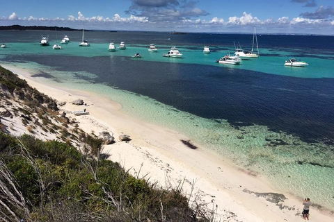 Experience Rottnest With Ferry & Bike Hire From Perth Or Fremantle - Accommodation BNB 0