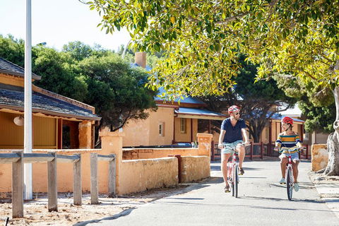 Experience Rottnest With Ferry & Bike Hire From Perth Or Fremantle - Accommodation BNB 1
