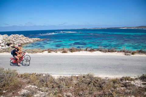 Experience Rottnest With Ferry & Bike Hire From Perth Or Fremantle - Accommodation BNB 2