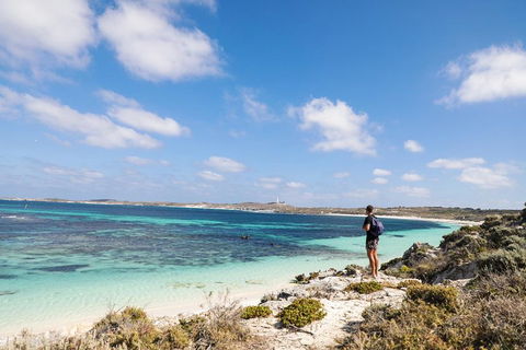 Experience Rottnest With Ferry & Bike Hire From Perth Or Fremantle - Accommodation BNB 3
