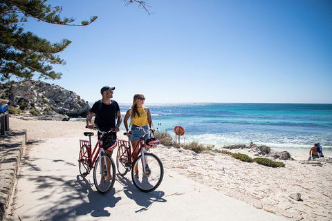 Experience Rottnest With Ferry & Bike Hire From Perth Or Fremantle - Accommodation BNB 4