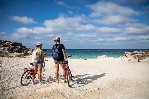 Experience Rottnest With Ferry & Bike Hire From Perth Or Fremantle - Accommodation BNB 5