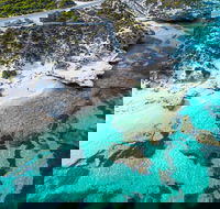 Rottnest Island Round-Trip Ferry from Perth or Fremantle - Accommodation BNB