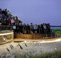 2-Day Great Ocean Road Mornington Peninsula and Phillip Island Tour