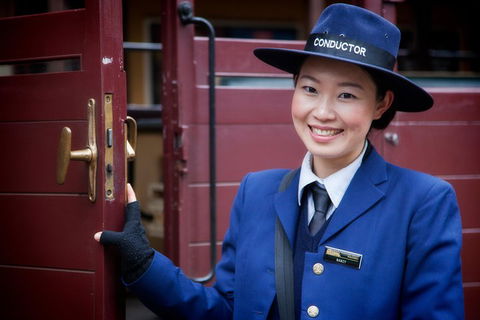 Puffing Billy, Moonlit Sanctuary & Penguins Day Tour - Accommodation BNB 1