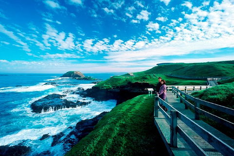 Puffing Billy, Moonlit Sanctuary & Penguins Day Tour - Accommodation BNB 2