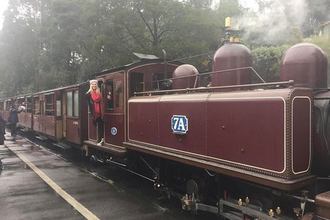 Puffing Billy, Moonlit Sanctuary & Penguins Day Tour - Accommodation BNB 4