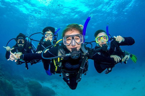 Great Barrier Reef Diving And Snorkeling Cruise From Cairns - Accommodation BNB 0