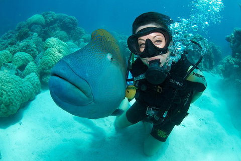 Great Barrier Reef Diving And Snorkeling Cruise From Cairns - Accommodation BNB 2