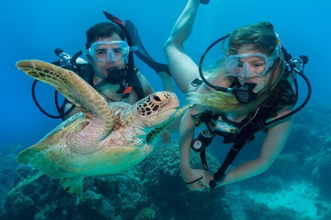 Great Barrier Reef Diving And Snorkeling Cruise From Cairns - Accommodation BNB 4