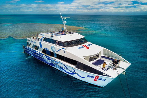 Great Barrier Reef Diving And Snorkeling Cruise From Cairns - Accommodation BNB 5