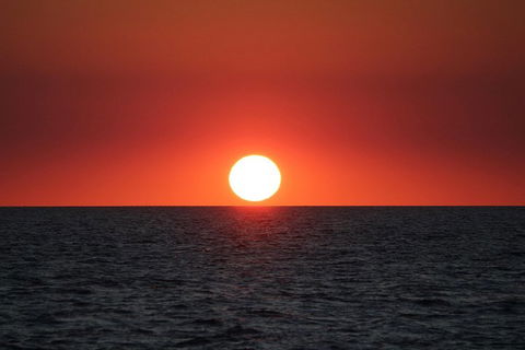 Roebuck Bay Snubfin Dolphin Cruise - Accommodation BNB 3