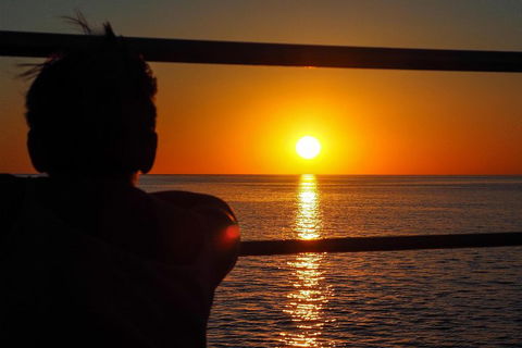 Roebuck Bay Snubfin Dolphin Cruise - Accommodation BNB 4