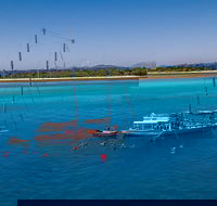 Ocean Free Green Island  Great Barrier Reef Snorkel Cruise Cairns 25 guests - Accommodation BNB