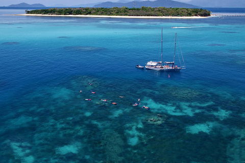 Ocean Free Green Island & Great Barrier Reef Snorkel Cruise, Cairns 25 Guests - Accommodation BNB 2