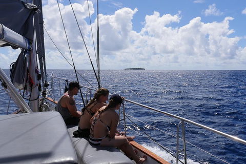 Ocean Free Green Island & Great Barrier Reef Snorkel Cruise, Cairns 25 Guests - Accommodation BNB 4
