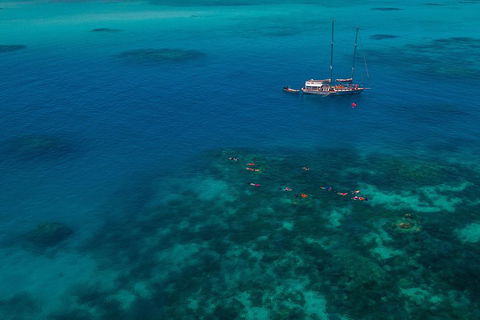 Ocean Free Green Island & Great Barrier Reef Snorkel Cruise, Cairns 25 Guests - Accommodation BNB 5